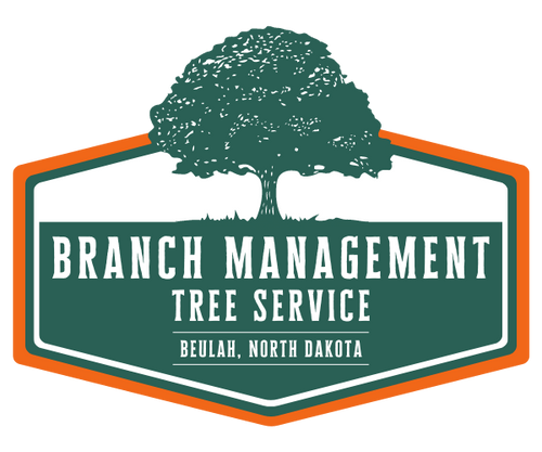 Branch Management Tree Service
